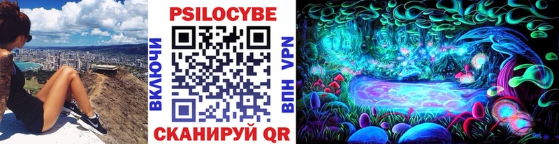 Псилоцибиновые грибы Psilocybe  Беломорск 