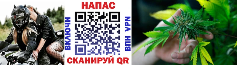 Шишки марихуана индика  Беломорск 
